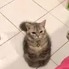 josephcerna - @josephcerna - TikTok