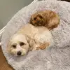 josephinecerrito - @josephinecerrito - TikTok