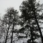 Joseph Chamblee - @joseph_chamblee - Instagram