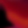 Peter Joseph Chiodo - @p.joe6 - TikTok