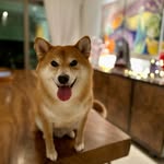 Joseph Chiu - @josephchiu_ - Instagram