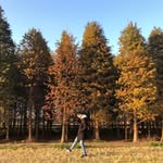 joseph chiu - @joseph_chiu - Instagram