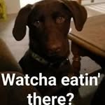 Joe Chubb - @josephchubb9 - Instagram