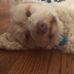 Joey Chubb - Facebook
