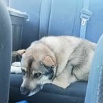 Joe Closs - @josephcloss - Instagram