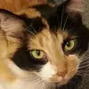 Joseph Closs - @joseph.closs - TikTok