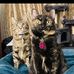 Joseph Clover - Facebook