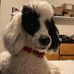 Joey Cofield - Facebook