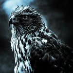 Joseph J.R. Colar - @j._colar - Instagram