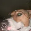 Josephcoleman573 - @jojomoneymaker1 - TikTok