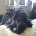 Joseph collis - @joecollis181 - Instagram