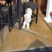 Joseph Colosimo - Facebook