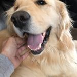 Joseph Colwell - @bostonjoe77 - Instagram