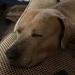Joseph Colwell - @colwell9984 - Instagram