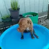 Joe Compean - @joe.compean - TikTok