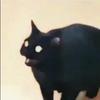 Josephscoots - @josephscoots - TikTok