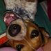 Joseph Coppock - Facebook