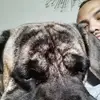 Joseph Cotto509 - @josephcotto2 - TikTok
