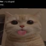 Joseph Criner - @titusville_2024 - Instagram
