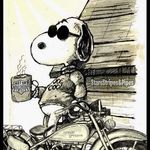 Joseph B Cripe - @joe_cool_711 - Instagram