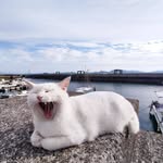 Joseph - @josephturnercsehhrjfqv - Instagram