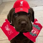 Joseph Cuddy - @jcud86 - Instagram