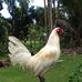 Joseph Cuhit - Facebook