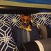 Joseph Cupit - Facebook