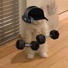 joseph.d.aniello - @joseph.d.aniello - TikTok
