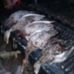 Joseph Daum - Facebook