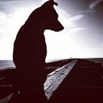 Joseph Davison - @milehighjoejoe - Instagram