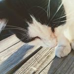 Joseph Davy - @josephdavy57 - Instagram