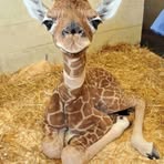 Joseph Debell - Facebook