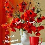 Joseph Deeb - @deeb7630 - Instagram