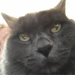 Joseph DeLory - @josephdelory - Instagram