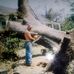 Joseph Demello - Facebook