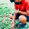 denmarkjosepholay - @denmarkjosepholay - TikTok