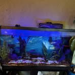 Joseph Dennington  - Facebook