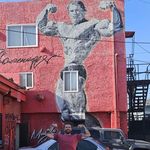 Joseph D'Errico - @pumpiron84 - Instagram
