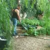 Pinuccio Archimede 2 - @josephdevito7 - TikTok