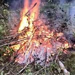 Joseph Devoe - @scotlands213 - Instagram