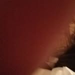 Joseph Donelson - @donelsonjoseph - Instagram