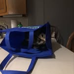 Joseph doolin - @jjisthebest327 - Instagram