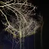 Joseph Dow - @dow.joseph - TikTok