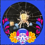 Joseph Downs - @chewbaccatactics - Instagram