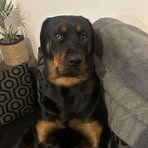 Joseph Downs - Facebook