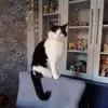 Paul Joseph Downs - @paul.joseph.downs - TikTok