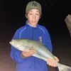 Follow - @josephdray26 - TikTok