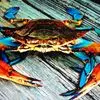 Joseph Dunning - @joseph.dunning - TikTok