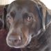 Joe Dunsmore - Facebook